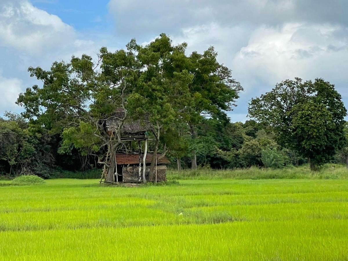 Thilina Homestay シギリヤ エクステリア 写真
