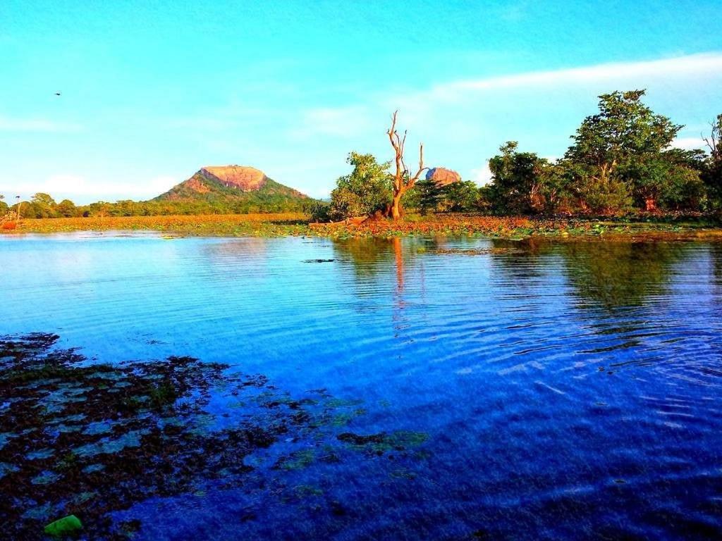 Thilina Homestay シギリヤ エクステリア 写真