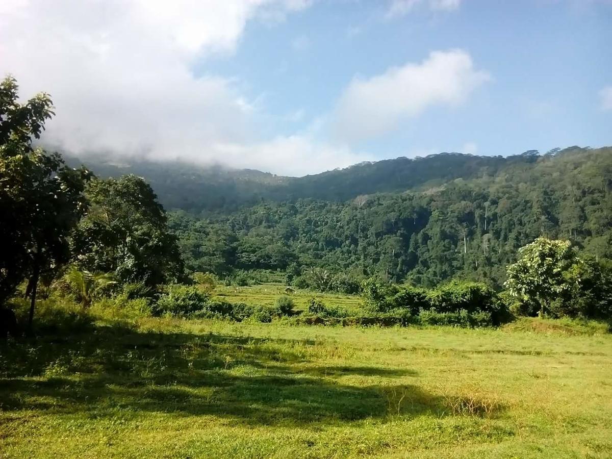 Thilina Homestay シギリヤ エクステリア 写真